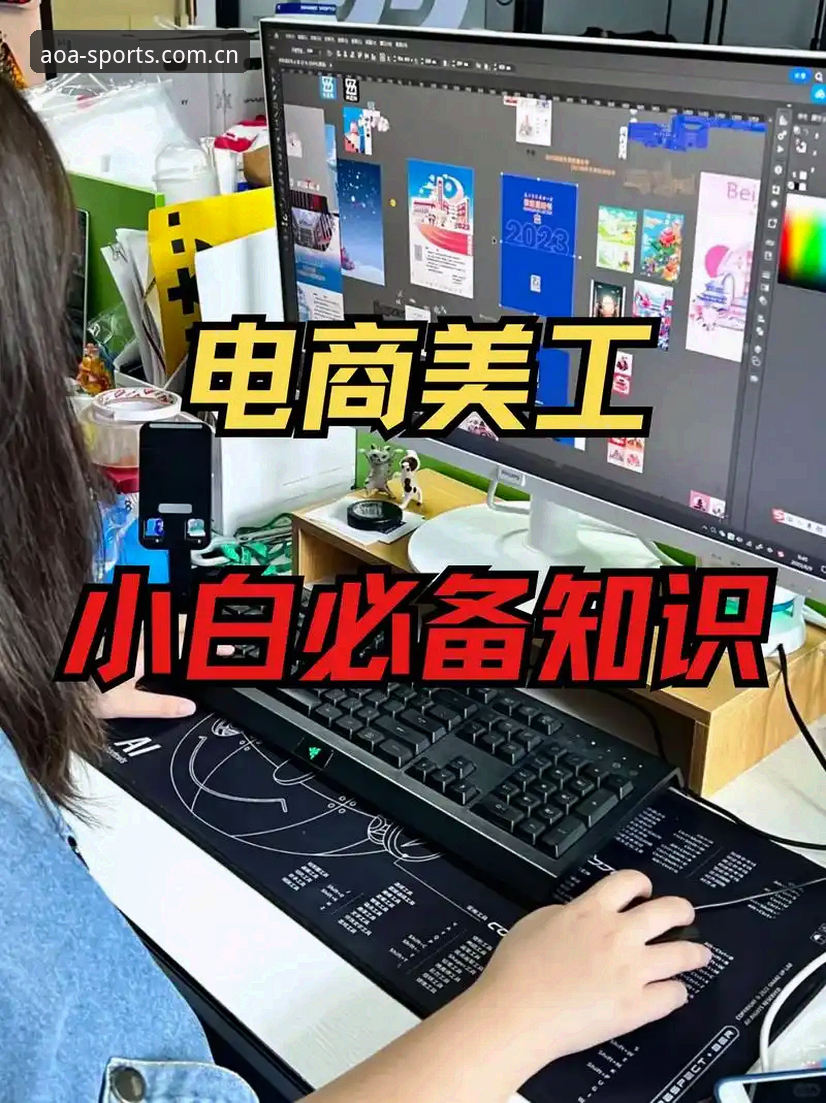 AOA体育2024下载使用指南：从安装到流畅运行的必备知识